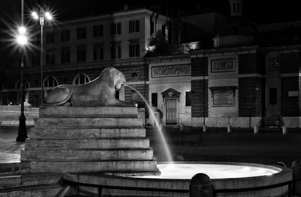 Statua del leone: uno dei quattro tra acqua e luci notturne