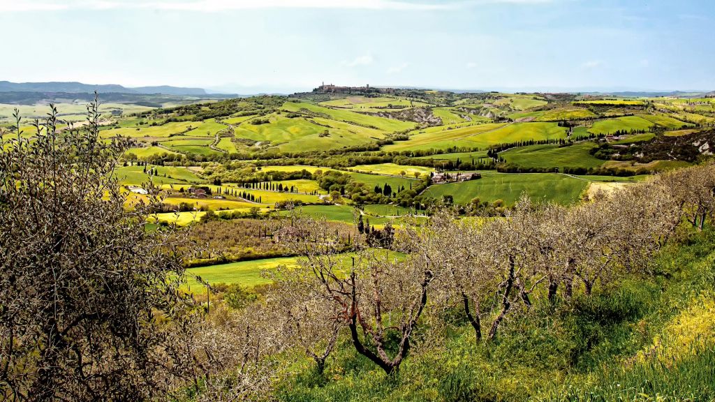 Paesaggio collinare tra alberi, campi coltivati e profondità