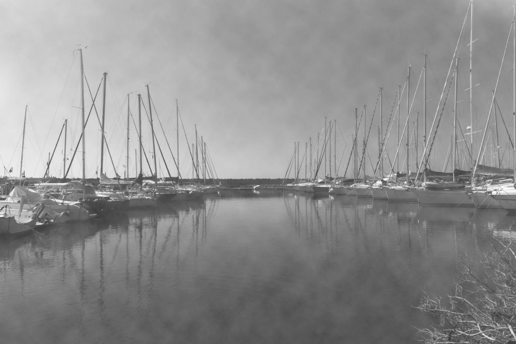 Nebbia al porto: alberi e riflessi in bianco e nero