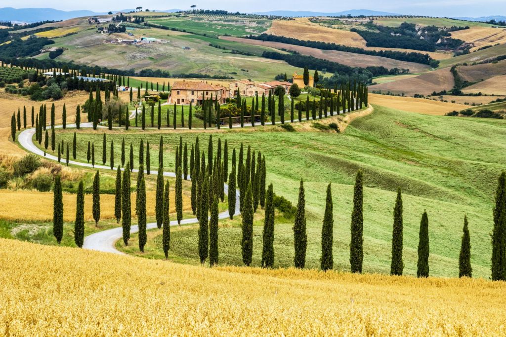 Baccoleno ad Asciano: la strada bianca nella Val d’Orcia