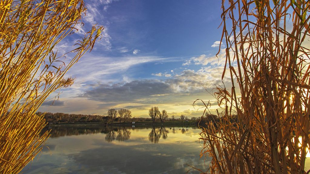 Paesaggio lacustre d’autunno tra canne e luce del tramonto