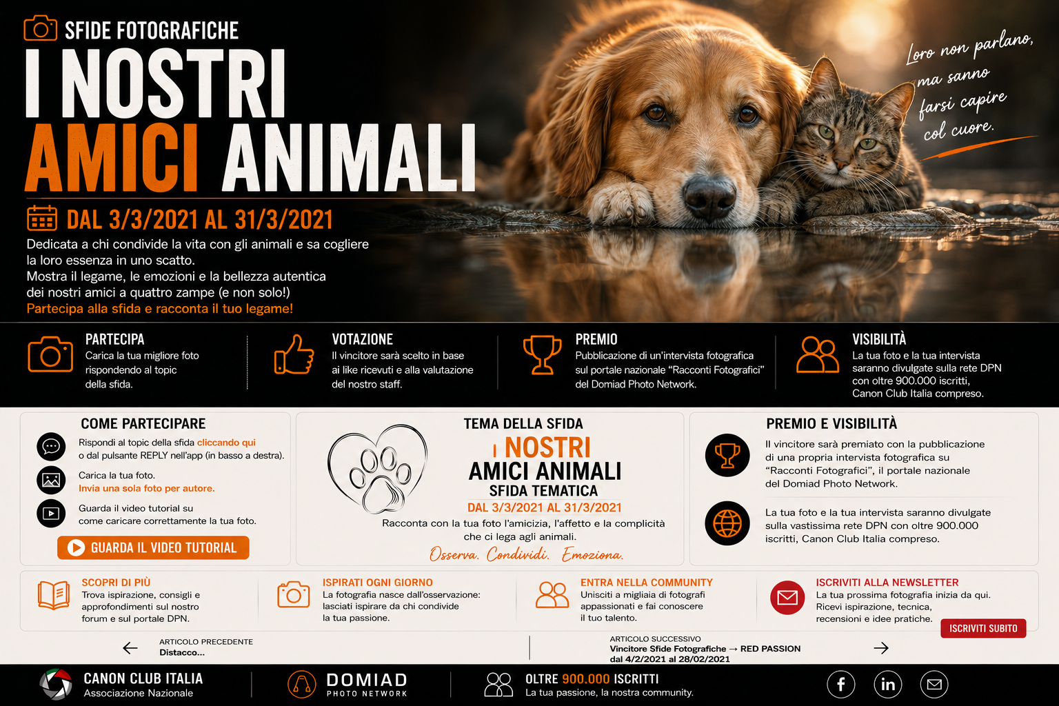 Sfide Fotografiche → I nostri amici animali  – dal 3/3/2021 al 31/3/2021