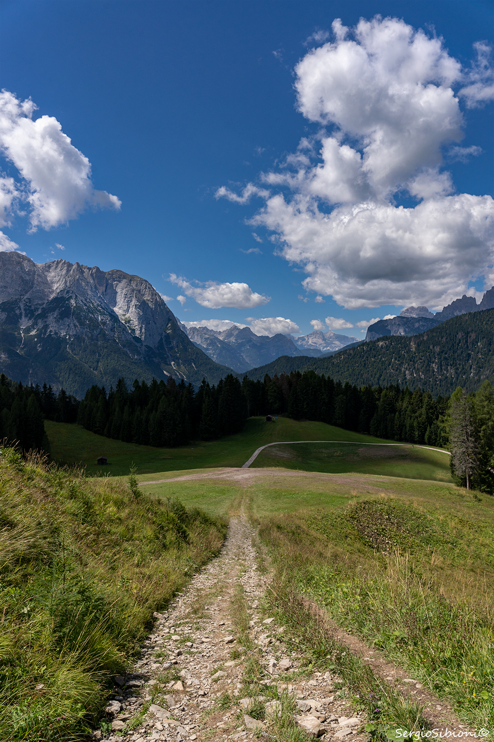 Sentiero di ghiaia e montagne: quiete, spazio e luce al tramonto degli alberi murali