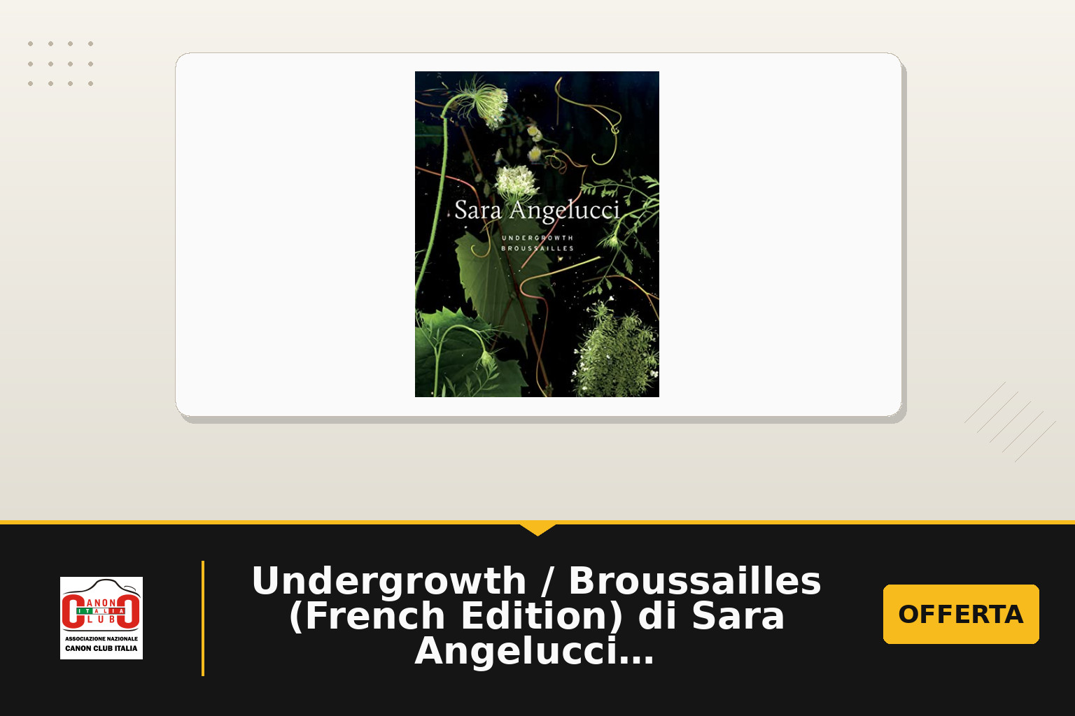 Undergrowth / Broussailles (French Edition) di Sara Angelucci: edizione, prezzo e disponibilità in stock