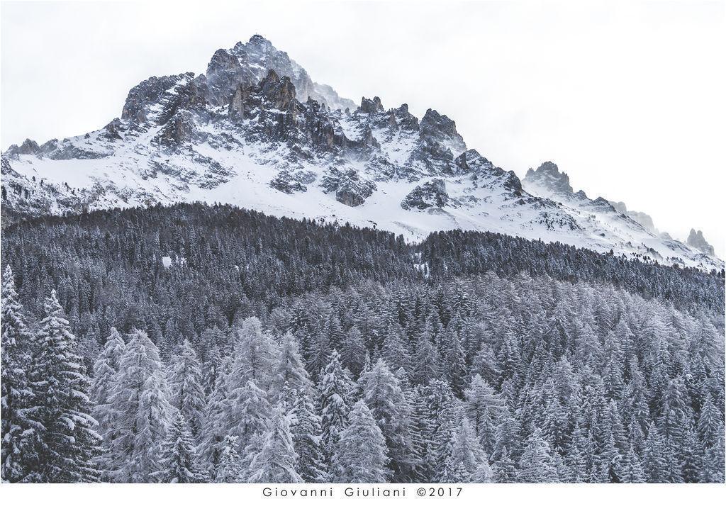 Latemar d’inverno tra boschi innevati e luce lattiginosa